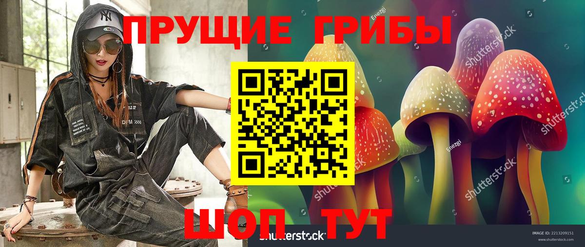 Галлюциногенные грибы GOLDEN TEACHER  цена   Якутск  Вход с VPN  Галлюциногенные грибы Psilocybe 
