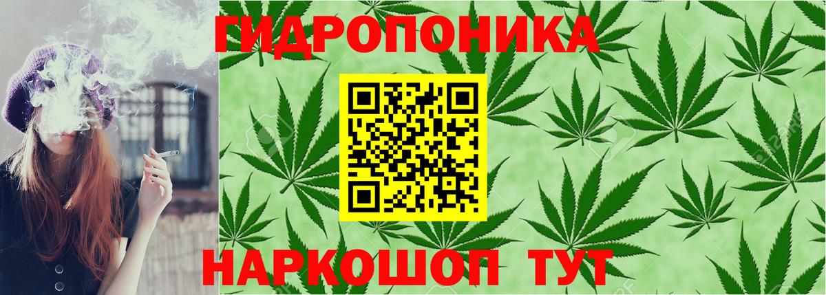 Шишки марихуана AK-47  Вход с VPN  Конопля семена  Якутск  Каннабис сатива 